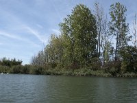 NL, Noord-Brabant, Altena, Gat van den Kleinen Hil 14, Saxifraga-Willem van Kruijsbergen