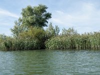 NL, Noord-Brabant, Altena, Gat van den Kleinen Hil 45, Saxifraga-Annemiek Bouwman