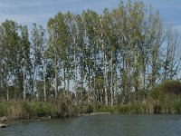 NL, Noord-Brabant, Altena, Gat van den Kleinen Hil 54, Saxifraga-Annemiek Bouwman