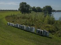 NL, Noord-Brabant, Altena, Jeppegat 1, Saxifraga-Jan van der Straaten