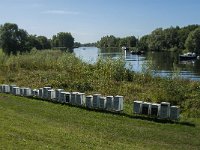 NL, Noord-Brabant, Altena, Jeppegat 2, Saxifraga-Jan van der Straaten