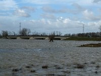 NL, Noord-Brabant, Altena, Kleine Muggenwaard 6, Saxifraga-Jan van der Straaten