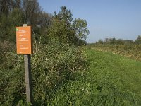 NL, Noord-Brabant, Altena, Kornsche Boezem 1, Saxifraga-Jan van der Straaten