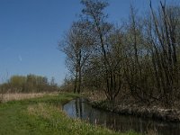 NL, Noord-Brabant, Altena, Kornsche Boezem 34, Saxifraga-Marijke Verhagen