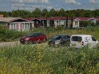 NL, Noord-Brabant, Altena, Kurenpolder 6, Saxifraga-Jan van der Straaten