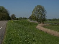 NL, Noord-Brabant, Altena, Merwededijk 3, Saxifraga-Jan van der Straaten