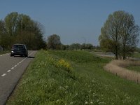 NL, Noord-Brabant, Altena, Merwededijk 9, Saxifraga-Marijke Verhagen