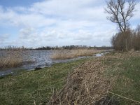 NL, Noord-Brabant, Altena, Noord van Bandijk to De Wassende Maan 3, Saxifraga-Willem van Kruijsbergen