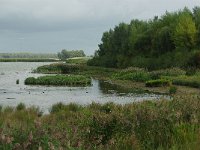 NL, Noord-Brabant, Altena, Noordwaard 6, Foto Fitis-Sytske Dijksen