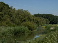 NL, Noord-Brabant, Altena, Oostkil 5, Saxifraga-Jan van der Straaten