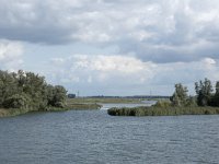 NL, Noord-Brabant, Altena, Polder Ganzewei 13, Saxifraga-Willem van Kruijsbergen