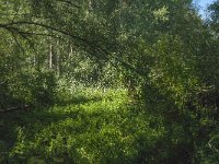 NL, Noord-Brabant, Altena, Polder Het Jannezand 10, Saxifraga-Jan van der Straaten