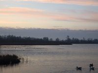 Natuurontwikkeling Biesbosch Jantjesplaat