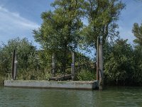 NL, Noord-Brabant, Altena, Polder Jantjesplaat 4, Saxifraga-Jan van der Straaten