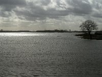 NL, Noord-Brabant, Altena, Polder Keizersguldenwaard 10, Saxifraga-Jan van der Straaten