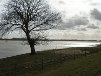 NL, Noord-Brabant, Altena, Polder Keizersguldenwaard 6, Saxifraga-Jan van der Straaten