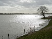 NL, Noord-Brabant, Altena, Polder Keizersguldenwaard 8, Saxifraga-Jan van der Straaten