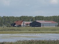 NL, Noord-Brabant, Altena, Polder Kleine Zalm 1, Saxifraga-Willem van Kruijsbergen