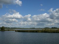 NL, Noord-Brabant, Altena, Polder Maltha 12, Saxifraga-Jan van der Straaten