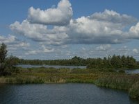 NL, Noord-Brabant, Altena, Polder Maltha 18, Saxifraga-Jan van der Straaten