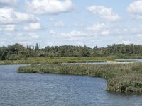 NL, Noord-Brabant, Altena, Polder Maltha 22, Saxifraga-Willem van Kruijsbergen