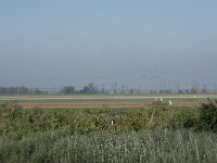 NL, Noord-Brabant, Altena, Polder Steenenmuur 2, Saxifraga-Willem van Kruijsbergen