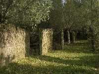 NL, Noord-Brabant, Altena, Pompveld 12, Saxifraga-Jan van der Straaten