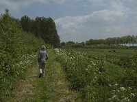 NL, Noord-Brabant, Altena, Pompveld 28, Saxifraga-Jan van der Straaten