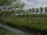 NL, Noord-Brabant, Altena, Pompveld 30, Saxifraga-Jan van der Straaten