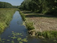 NL, Noord-Brabant, Altena, Pompveld 41, Saxifraga-Jan van der Straaten