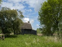 NL, Noord-Brabant, Altena, Ruwenhennip 20, Saxifraga-Jan van der Straaten