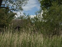 NL, Noord-Brabant, Altena, Ruwenhennip 3, Saxifraga-Jan van der Straaten