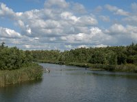 NL, Noord-Brabant, Altena, Steurgat 6, Saxifraga-Jan van der Straaten