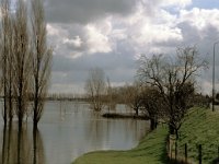 NL, Noord-Brabant, Altena, Veen 5, Saxifraga-Jan van der Straaten