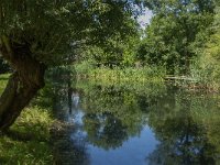 NL, Noord-Brabant, Altena, Verbinding Oostkil-Hank 2, Saxifraga-Jan van der Straaten