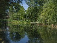 NL, Noord-Brabant, Altena, Verbinding Oostkil-Hank 4, Saxifraga-Jan van der Straaten