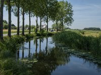 NL, Noord-Brabant, Altena, Vierbansche Gantel 3, Saxifraga-Jan van der Straaten