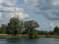 NL, Noord-Brabant, Altena, Vijf Ambachten 7, Saxifraga-Jan van der Straaten