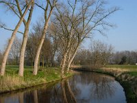 NL, Noord-Brabant, Boxtel 1, Saxifraga-Jan van der Straaten