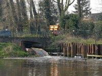 NL, Noord-Brabant, Boxtel 3, Saxifraga-Jan van der Straaten