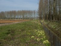 NL, Noord-Brabant, Boxtel, Bundersdijk 11, Saxifraga-Willem van Kruijsbergen