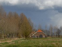 NL, Noord-Brabant, Boxtel, De Drie Baarsjes 1, Saxifraga-Jan van der Straaten