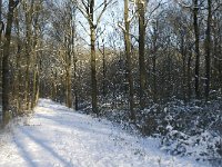 NL, Noord-Brabant, Boxtel, De Geelders 10, Saxifraga-Jan van der Straaten