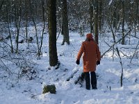 NL, Noord-Brabant, Boxtel, De Geelders 8, Saxifraga-Jan van der Straaten