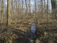 NL, Noord-Brabant, Boxtel, De Scheeken 21, Saxifraga-Willem van Kruijsbergen