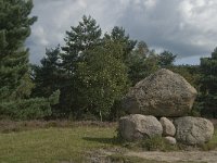 NL, Noord-Brabant, Boxtel, Graf van Van Tienhoven 3, Saxifraga-Jan van der Straaten