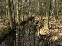 NL, Noord-Brabant, Boxtel, Het Speet 10, Saxifraga-Jan van der Straaten