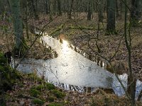 NL, Noord-Brabant, Boxtel, Het Speet 19, Saxifraga-Jan van der Straaten