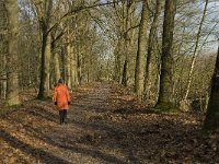 NL, Noord-Brabant, Boxtel, Het Speet 5, Saxifraga-Jan van der Straaten