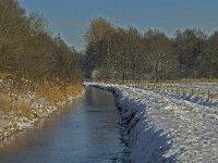 NL, Noord-Brabant, Boxtel, Kampina, Heiloop 5, Saxifraga-Marijke Verhagen